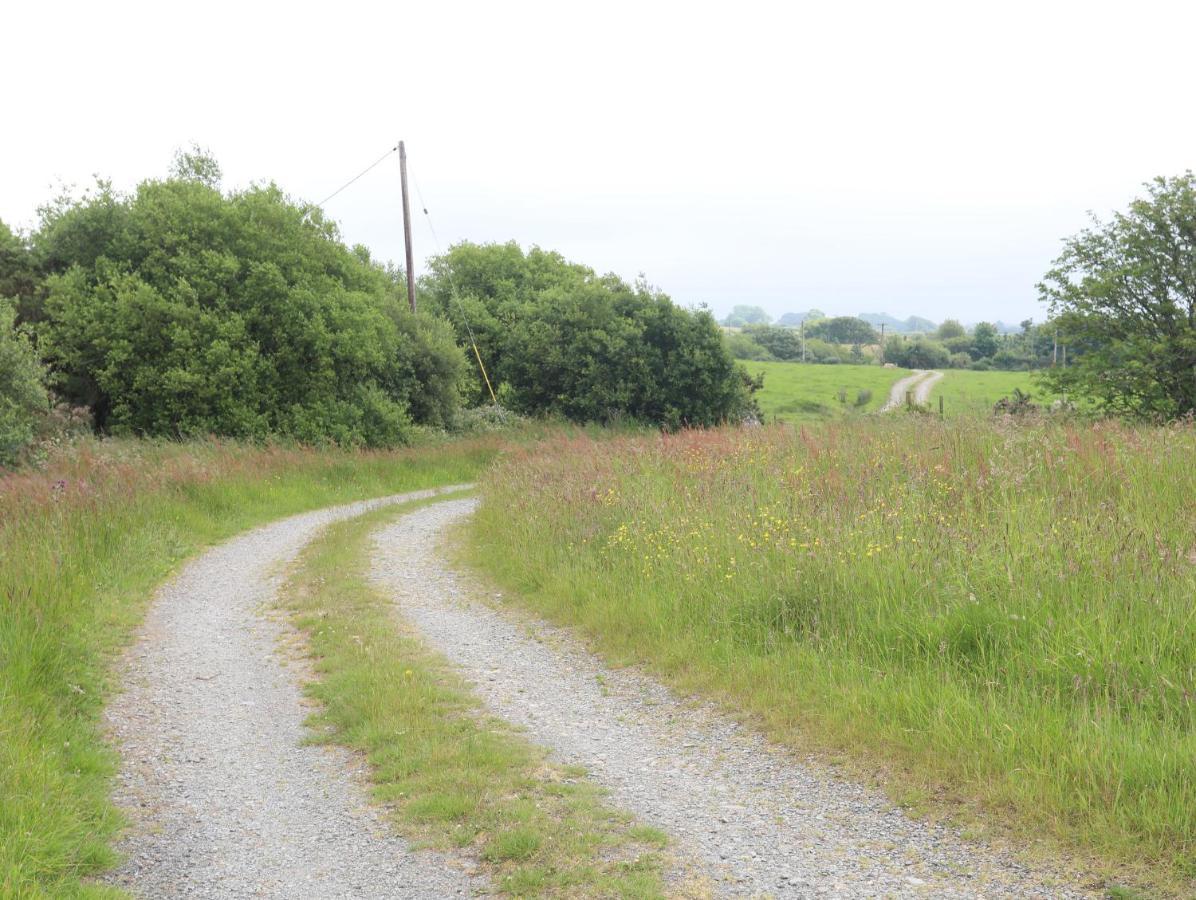 Tan Y Bryn Villa Pwllheli Bagian luar foto